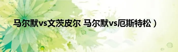 马尔默vs文茨皮尔 马尔默vs厄斯特松）