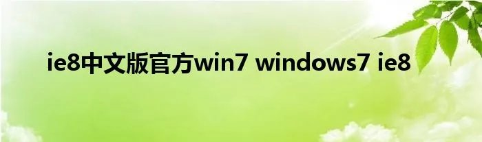 ie8中文版官方win7 windows7 ie8
