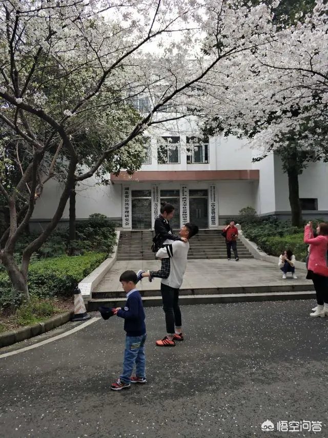 男子武大校园剧烈摇动樱花树，如何有效制止此类行为？