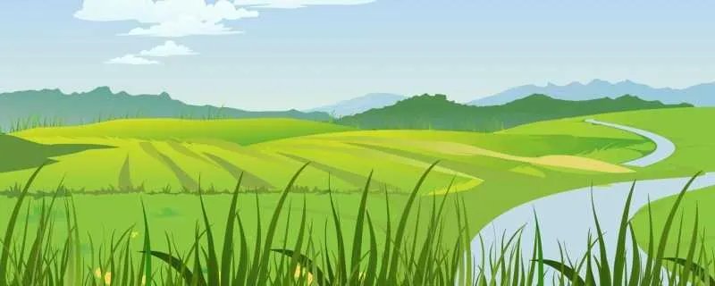 qq好友分组设计小清新 清新唯美的qq好友分组