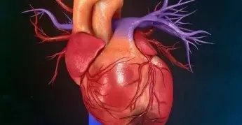 装支架就废了?北京安贞医院心内科专家带您走出误区!!