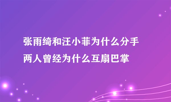张雨绮和汪小菲为什么分手 两人曾经为什么互扇巴掌