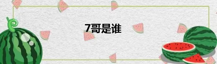 7哥是谁