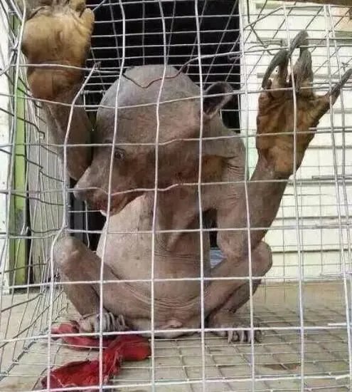 揭阳水鬼事件是真的吗 真实视频记录水库抓打水鬼