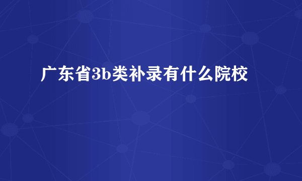 广东省3b类补录有什么院校
