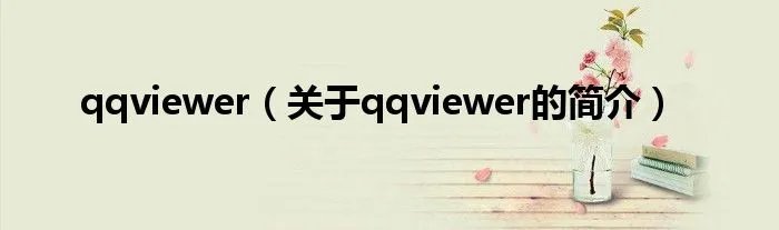 qqviewer（关于qqviewer的简介）