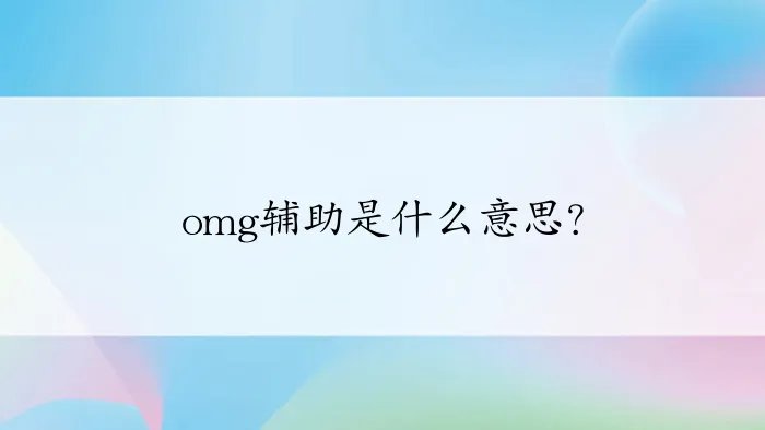 omg辅助是什么意思？