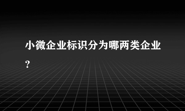 小微企业标识分为哪两类企业？