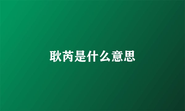 耿芮是什么意思