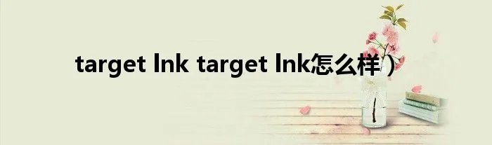 target lnk target lnk怎么样）