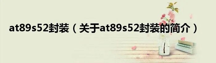 at89s52封装（关于at89s52封装的简介）