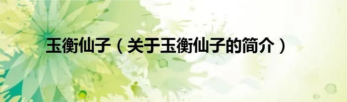 玉衡仙子（关于玉衡仙子的简介）