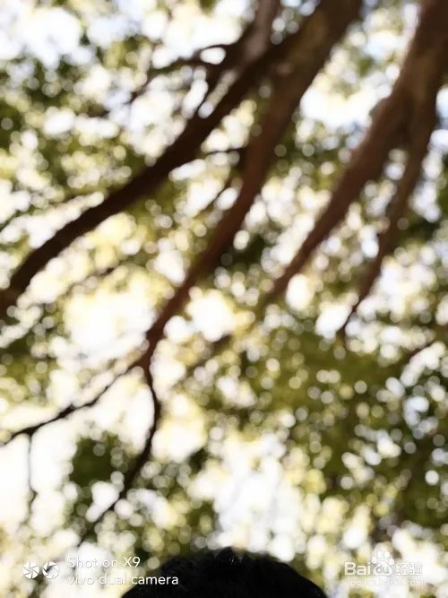 2000万像素双摄的自拍手机vivo X9效果怎么样?