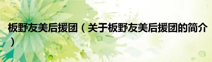 板野友美后援团（关于板野友美后援团的简介）