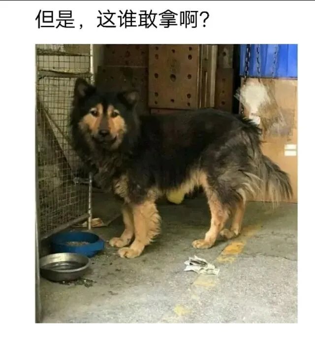 外卖单奇葩留言让外卖小哥哭笑不得,你还收到什么奇葩留言?