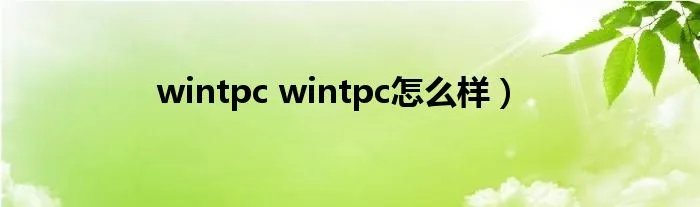 wintpc wintpc怎么样)