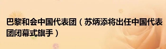 巴黎和会中国代表团（苏炳添将出任中国代表团闭幕式旗手）