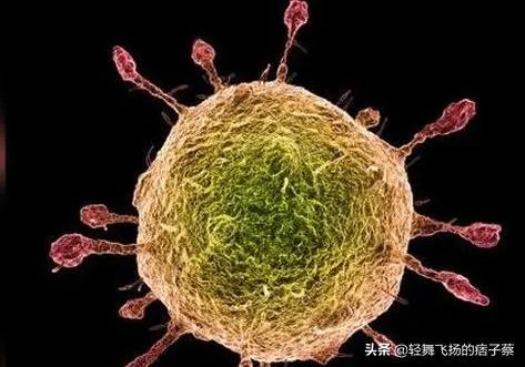 怎么看巴西总统被鸵鸟咬伤?