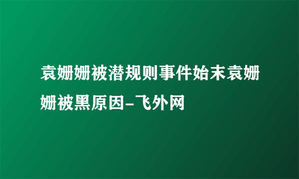 袁姗姗被潜规则事件始末袁姗姗被黑原因-飞外网