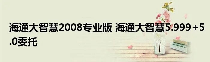 海通大智慧2008专业版 海通大智慧5.999+5.0委托