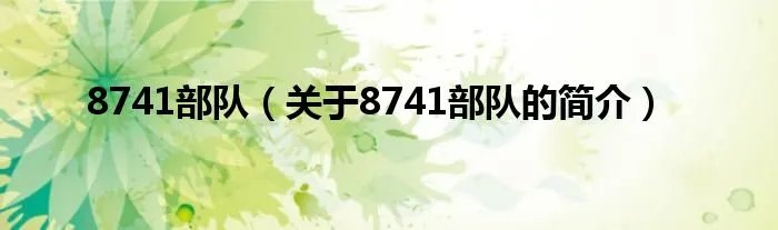 8741部队（关于8741部队的简介）