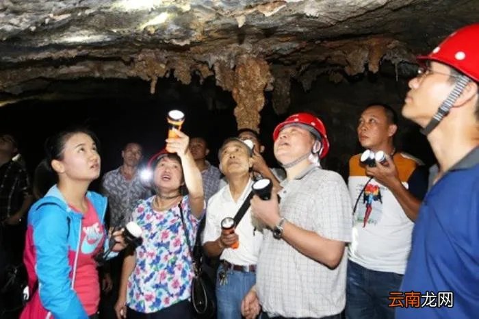 湖南一山洞发现真龙 真龙被首次发现组图