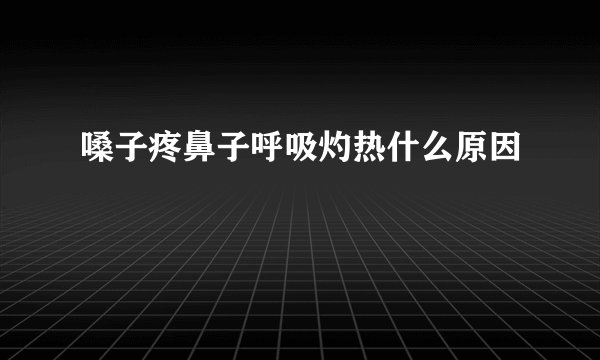 嗓子疼鼻子呼吸灼热什么原因