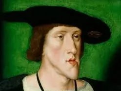 什么是哈布斯堡王朝下巴?近亲结婚创造的“鞋拔子脸”!