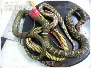 会喝汤的女人最美——夏季健康美颜的蛇汤