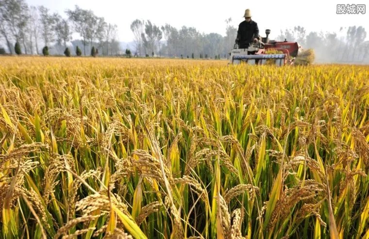 全球面临50年来最严重粮食危机 多国面临饥饿风险