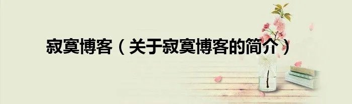 寂寞博客（关于寂寞博客的简介）