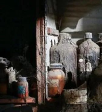 印度化学液体泄漏造成了什么样的严重后果?