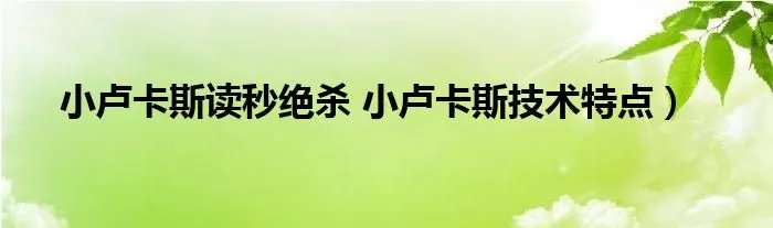 小卢卡斯读秒绝杀 小卢卡斯技术特点）