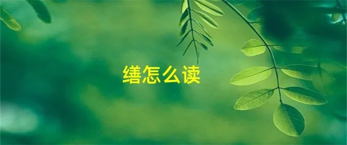 缮怎么读