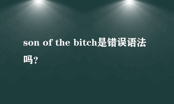 son of the bitch是错误语法吗？