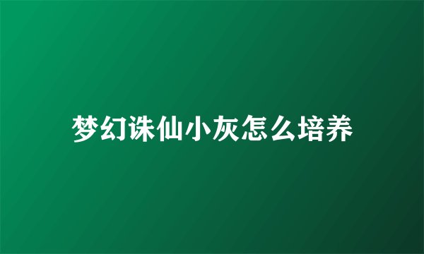 梦幻诛仙小灰怎么培养