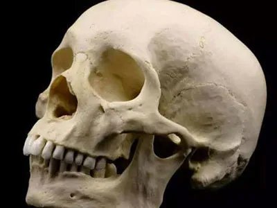 人死后身上这东西竟会悄悄变长（胆小勿进）