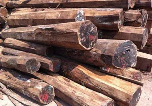 非洲红木有哪些品种