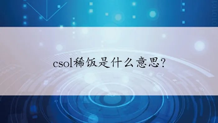 csol稀饭是什么意思？