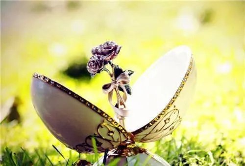 向微江城小说 向微江城免费阅读