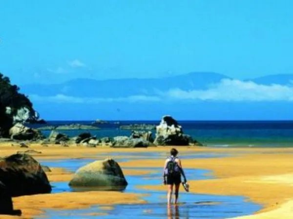 新西兰最炎热夏天是什么样？