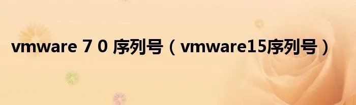 vmware 7 0 序列号（vmware15序列号）