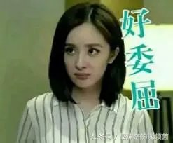 杨幂被赶出机场，大家怎么看？