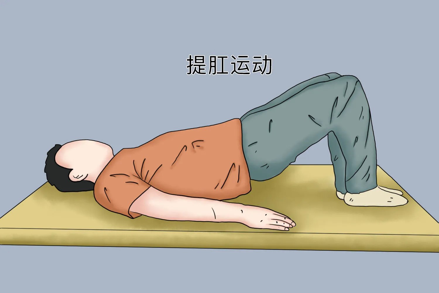 提肛的正确方法图片