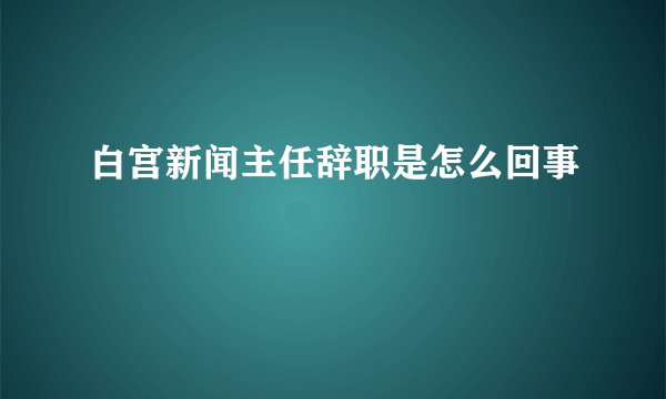 白宫新闻主任辞职是怎么回事