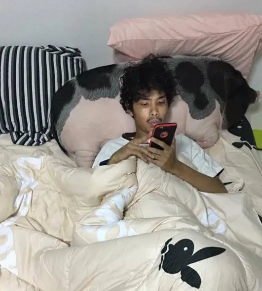 把母猪当女朋友来养是怎么回事?