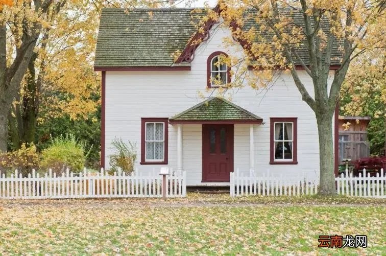 DAD是什么意思中文 dad是什么意思中文是什么意思啊