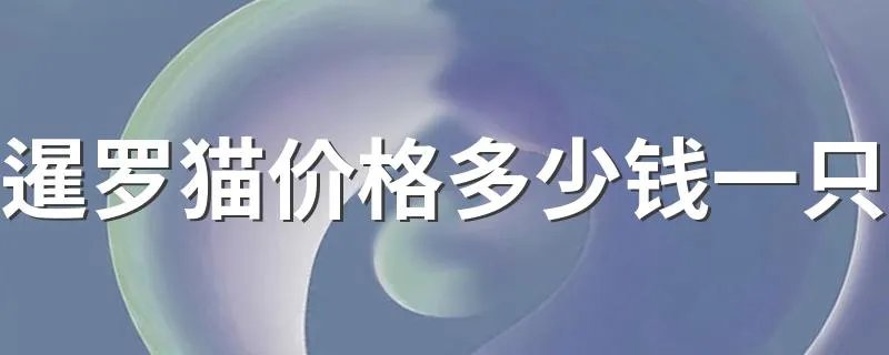 暹罗猫价格多少钱一只 暹罗猫价格计算