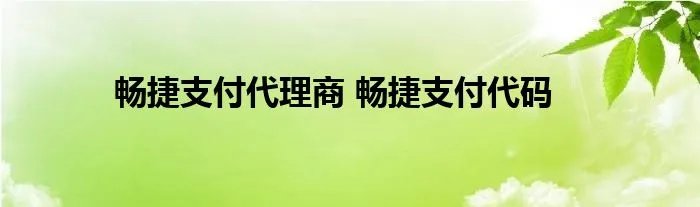 畅捷支付代理商 畅捷支付代码