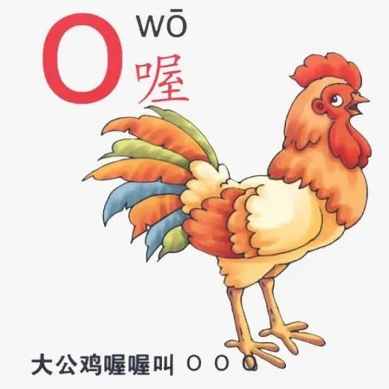 拼音“o”的发音应该念欧?不少网友都懵了